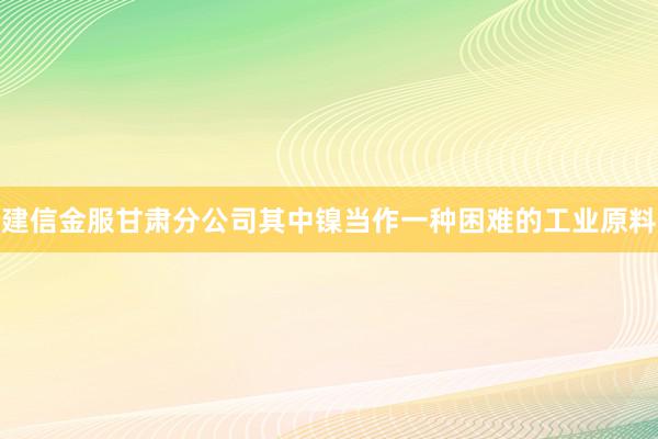 建信金服甘肃分公司其中镍当作一种困难的工业原料